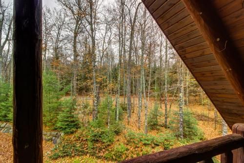Outdoor Pictures 5