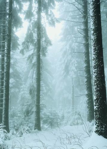 Outdoor Pictures 22