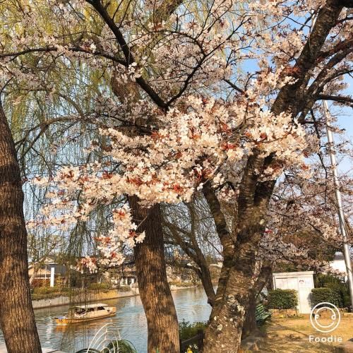 Outdoor Pictures 8