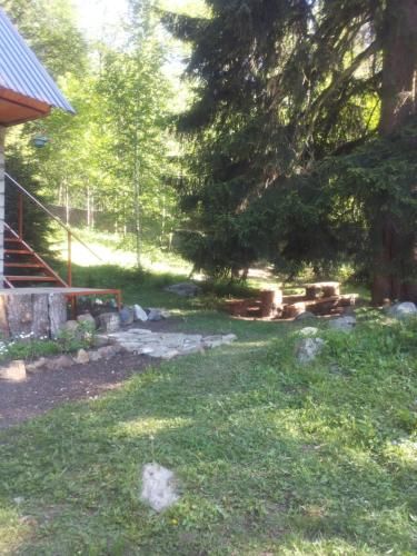 Outdoor Pictures 9