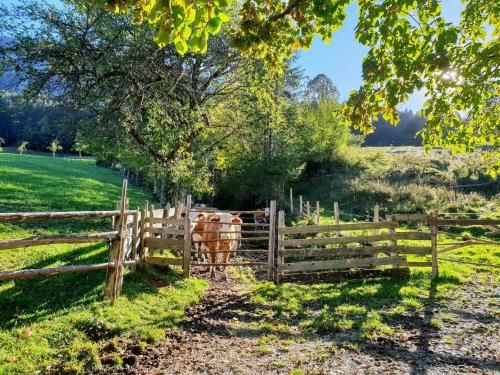 Outdoor Pictures 15