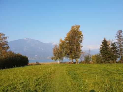 Outdoor Pictures 17