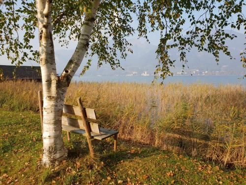 Outdoor Pictures 21