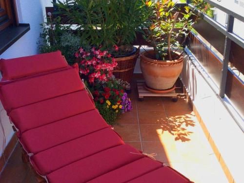 Outdoor Pictures 9