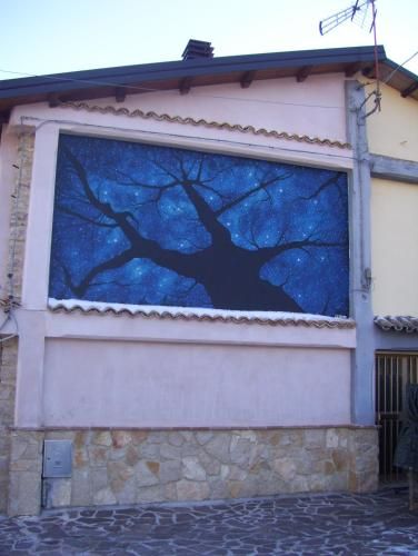 Outdoor Pictures 5