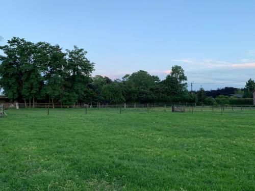 Outdoor Pictures 7