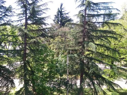 Outdoor Pictures 7