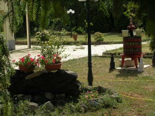 Guest house Il Nido