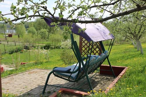 Outdoor Pictures 8