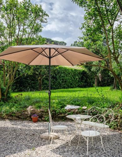 Outdoor Pictures 22
