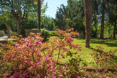 Outdoor Pictures 23