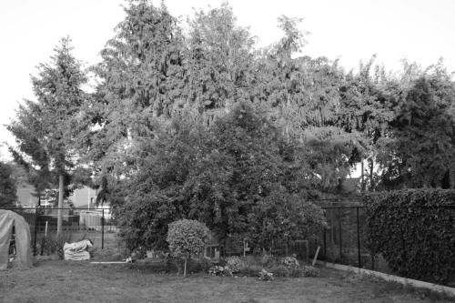 Outdoor Pictures 15