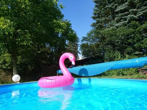 Outdoor Pictures 9