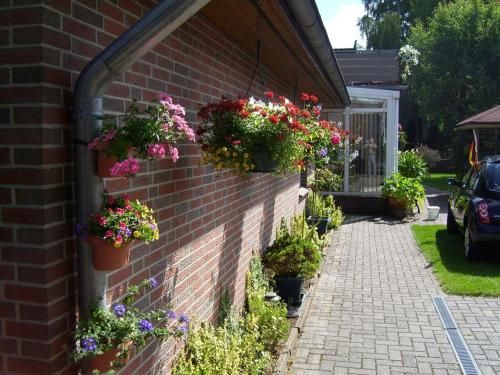 Outdoor Pictures 10