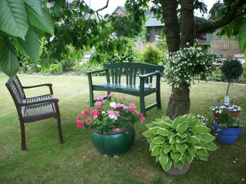 Outdoor Pictures 9