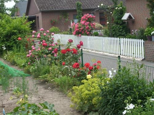 Outdoor Pictures 10
