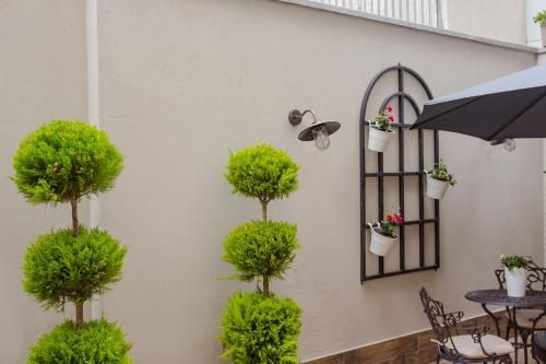 Outdoor Pictures 23