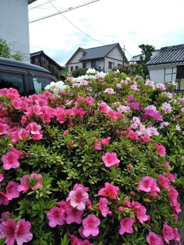 Outdoor Pictures 17