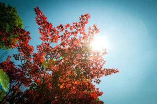Outdoor Pictures 22