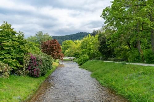 Outdoor Pictures 22
