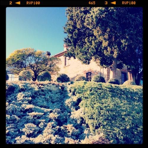 Outdoor Pictures 23