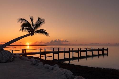 Outdoor Pictures 24