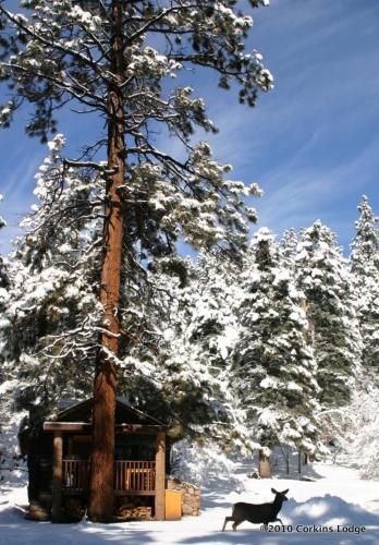 Corkins Lodge