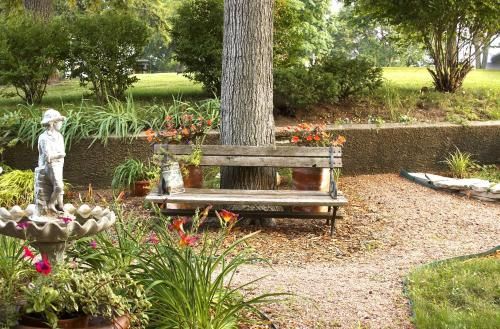 Outdoor Pictures 22