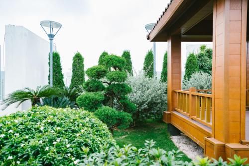 Outdoor Pictures 3