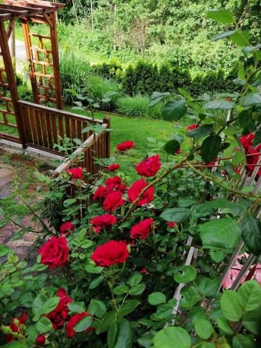 Outdoor Pictures 19