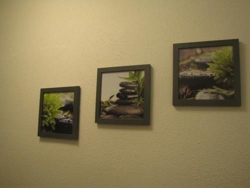 Outdoor Pictures 6