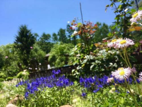Outdoor Pictures 4