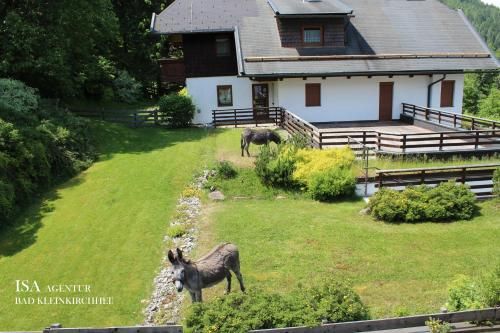 Outdoor Pictures 23