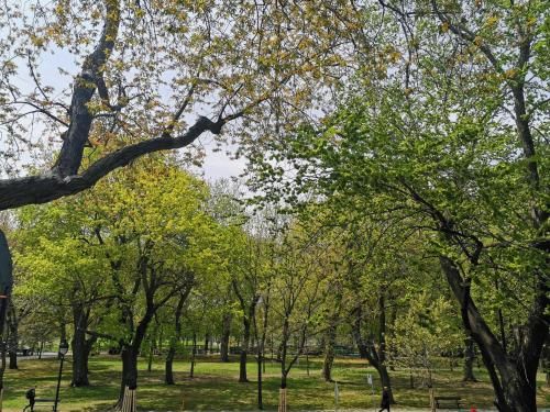 Outdoor Pictures 24