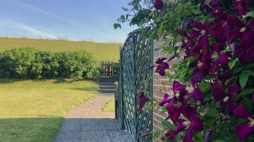 Outdoor Pictures 7