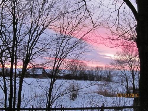 Outdoor Pictures 17