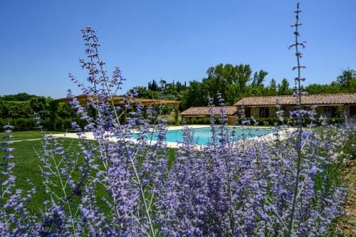 Outdoor Pictures 23