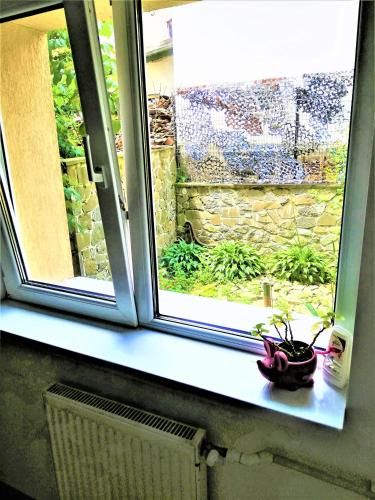 Outdoor Pictures 20