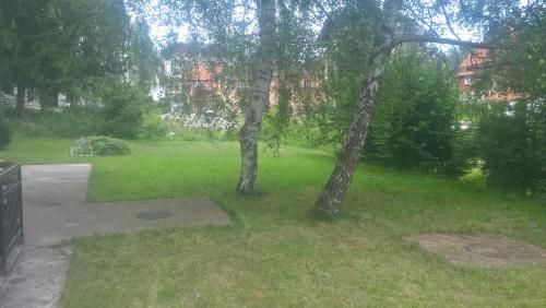 Outdoor Pictures 15