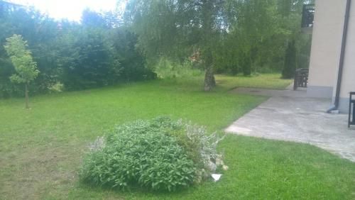 Outdoor Pictures 16