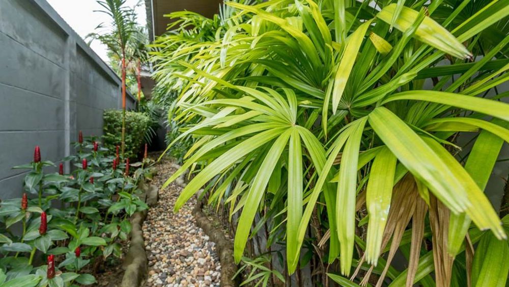 Outdoor Pictures 23