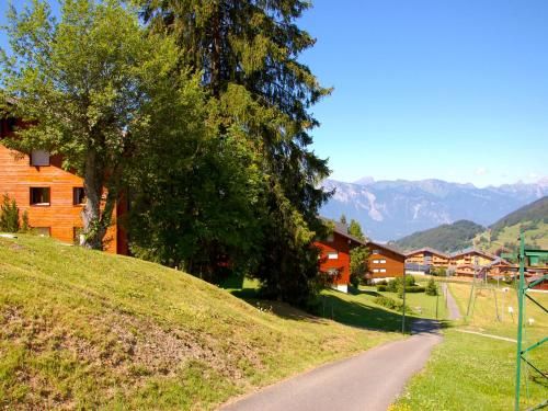 Outdoor Pictures 22