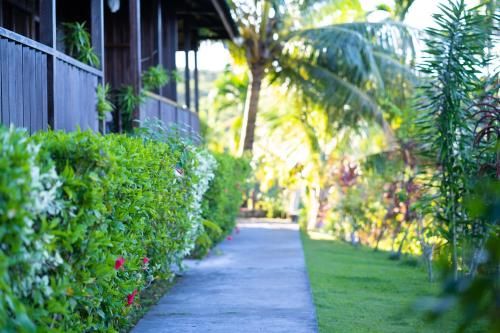 Outdoor Pictures 20