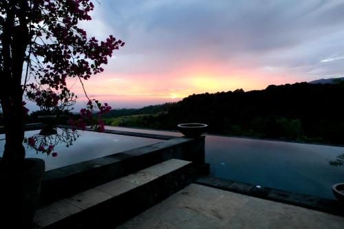 Outdoor Pictures 23