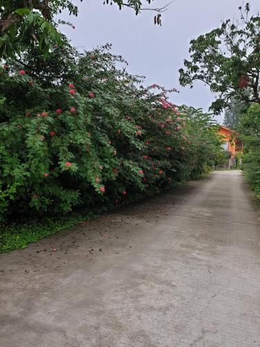 Outdoor Pictures 20