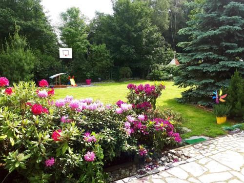 Outdoor Pictures 21