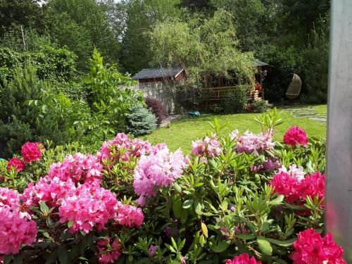 Outdoor Pictures 20