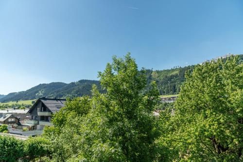 Outdoor Pictures 21