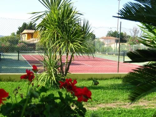 Outdoor Pictures 19