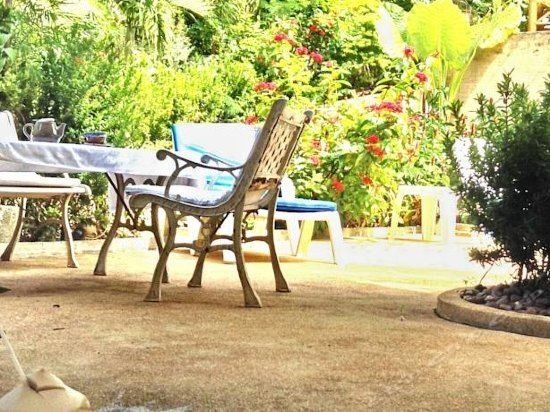 Outdoor Pictures 19